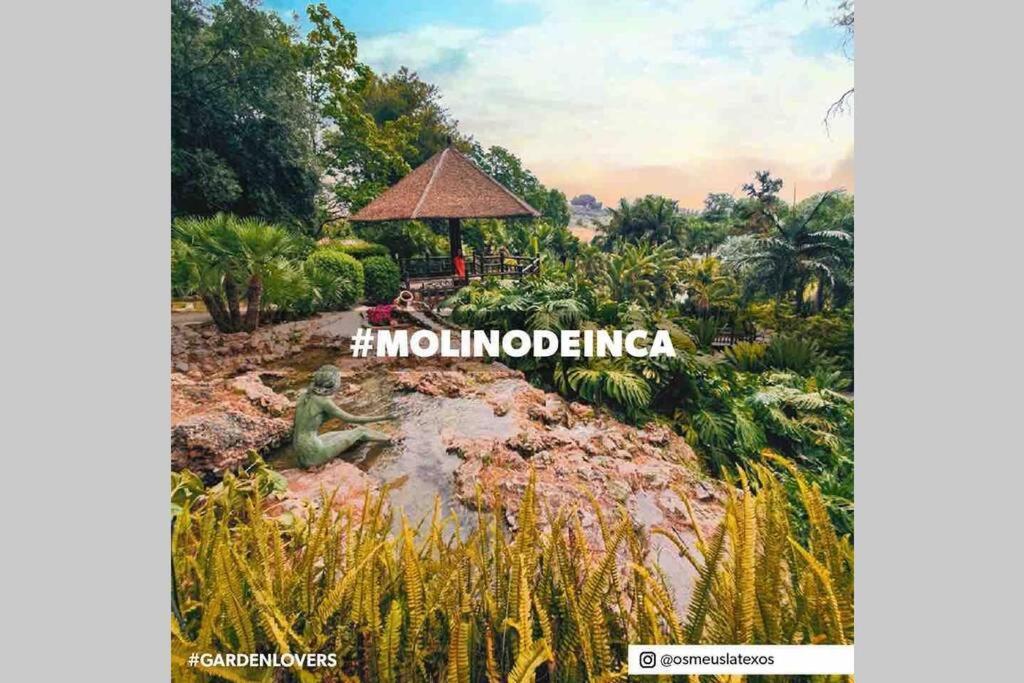 Begonia Studio 119 Τορρεμολίνος Εξωτερικό φωτογραφία